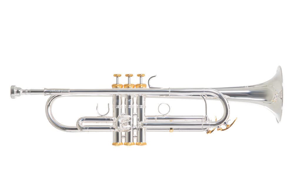 Roy Benson Bb-Trumpet TR-101 (progettato professionalmente con alesaggio ML, con leadpipe in ottone dorato, custodia rettangolare leggera inclusa, con set di zaini)