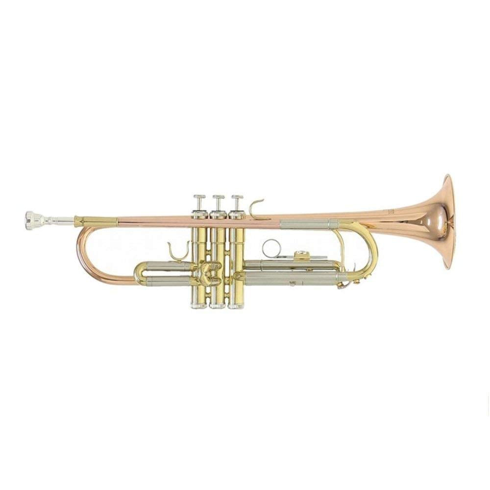 Roy Benson Bb-Trumpet TR-101 (progettato professionalmente con alesaggio ML, con leadpipe in ottone dorato, custodia rettangolare leggera inclusa, con set di zaini)