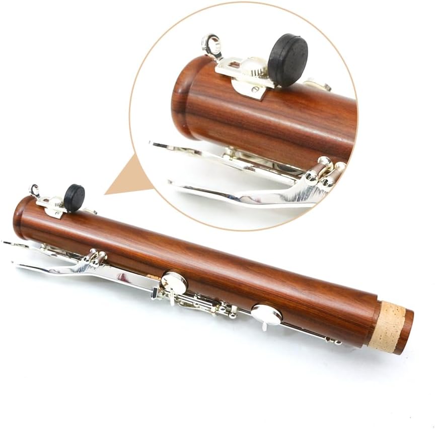 WUQIMUSC Clarinetto professionale corpo palissandro placcato argento chiave B-flat chiavi 17 Bb chiave due barili custodia rigida guanti bianchi