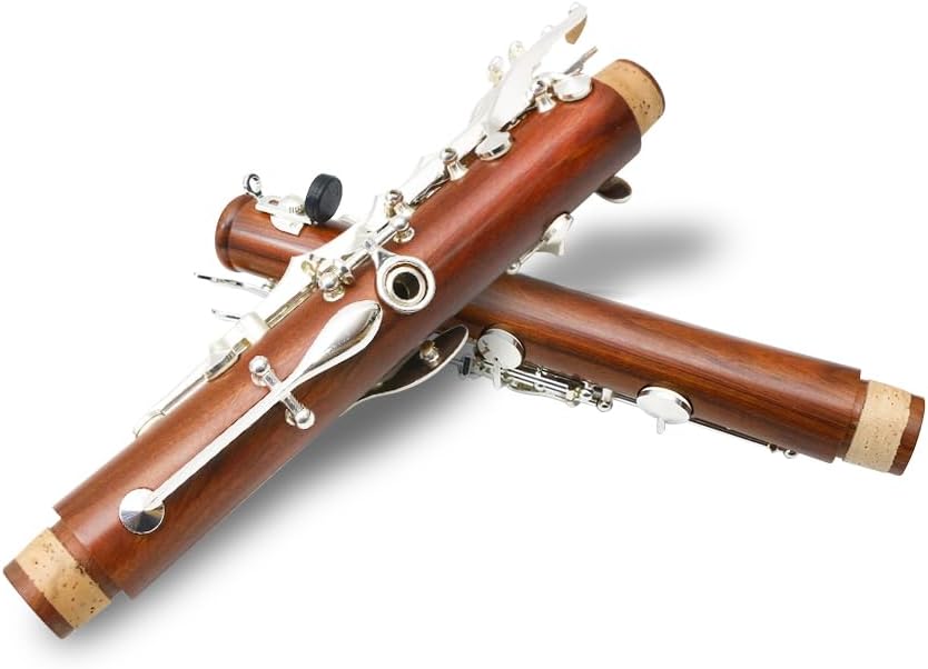 WUQIMUSC Clarinetto professionale corpo palissandro placcato argento chiave B-flat chiavi 17 Bb chiave due barili custodia rigida guanti bianchi