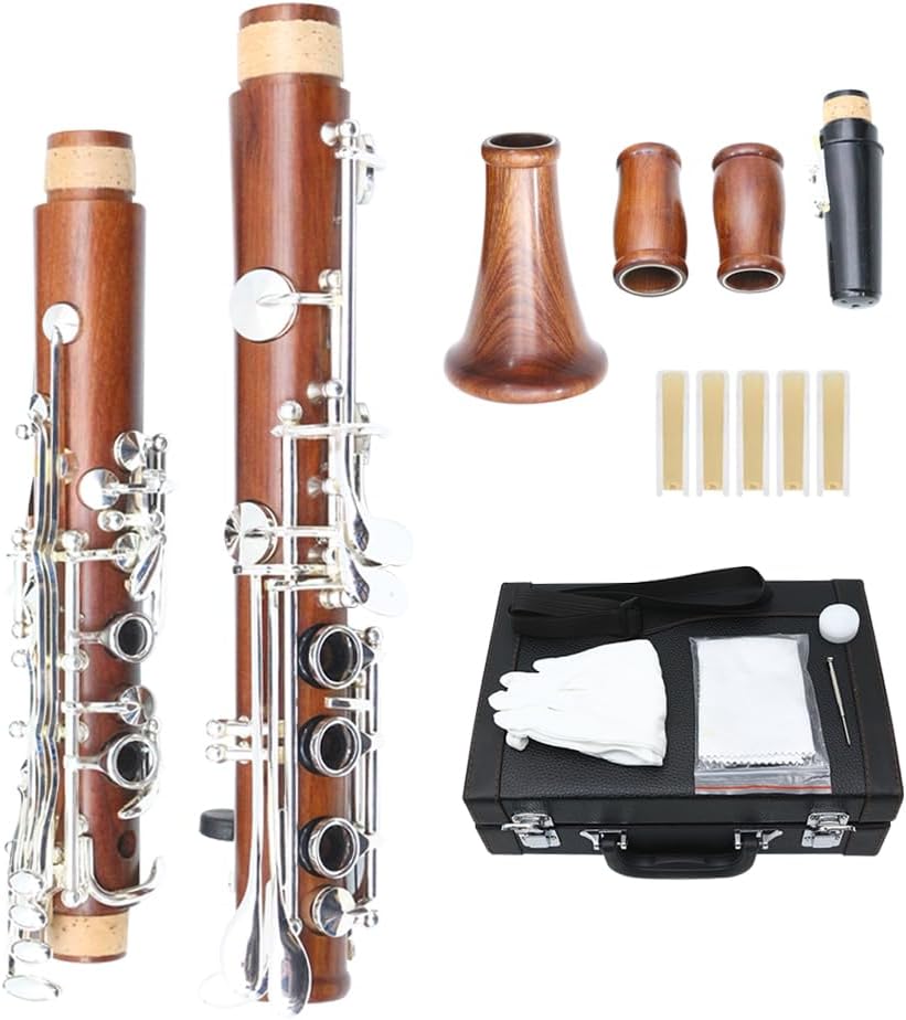 WUQIMUSC Clarinetto professionale corpo palissandro placcato argento chiave B-flat chiavi 17 Bb chiave due barili custodia rigida guanti bianchi