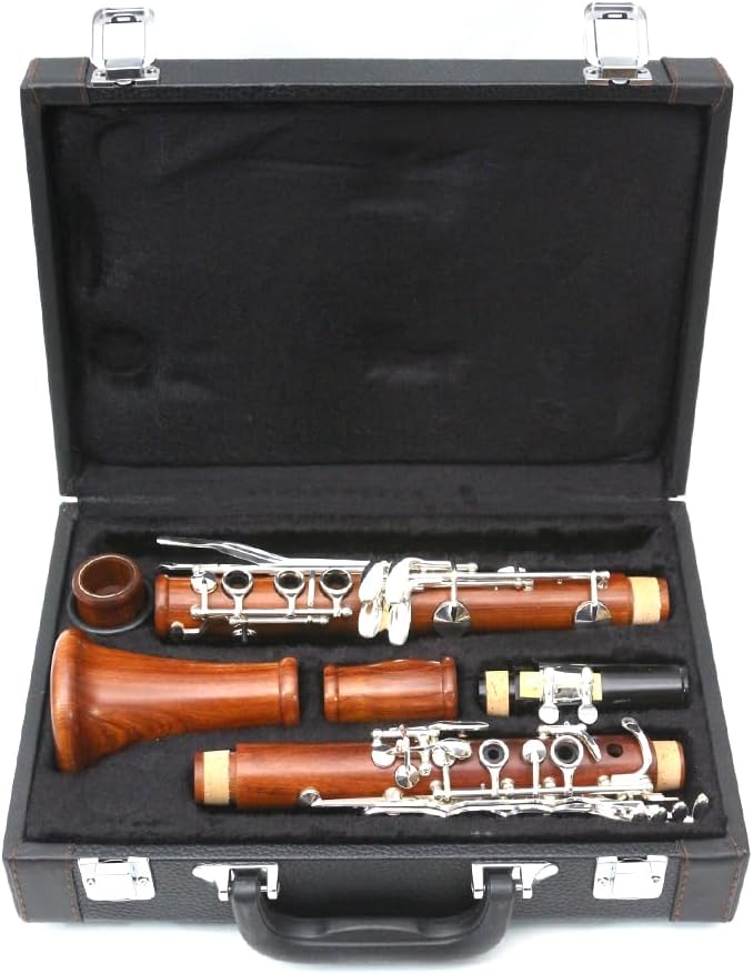 WUQIMUSC Clarinetto professionale corpo palissandro placcato argento chiave B-flat chiavi 17 Bb chiave due barili custodia rigida guanti bianchi