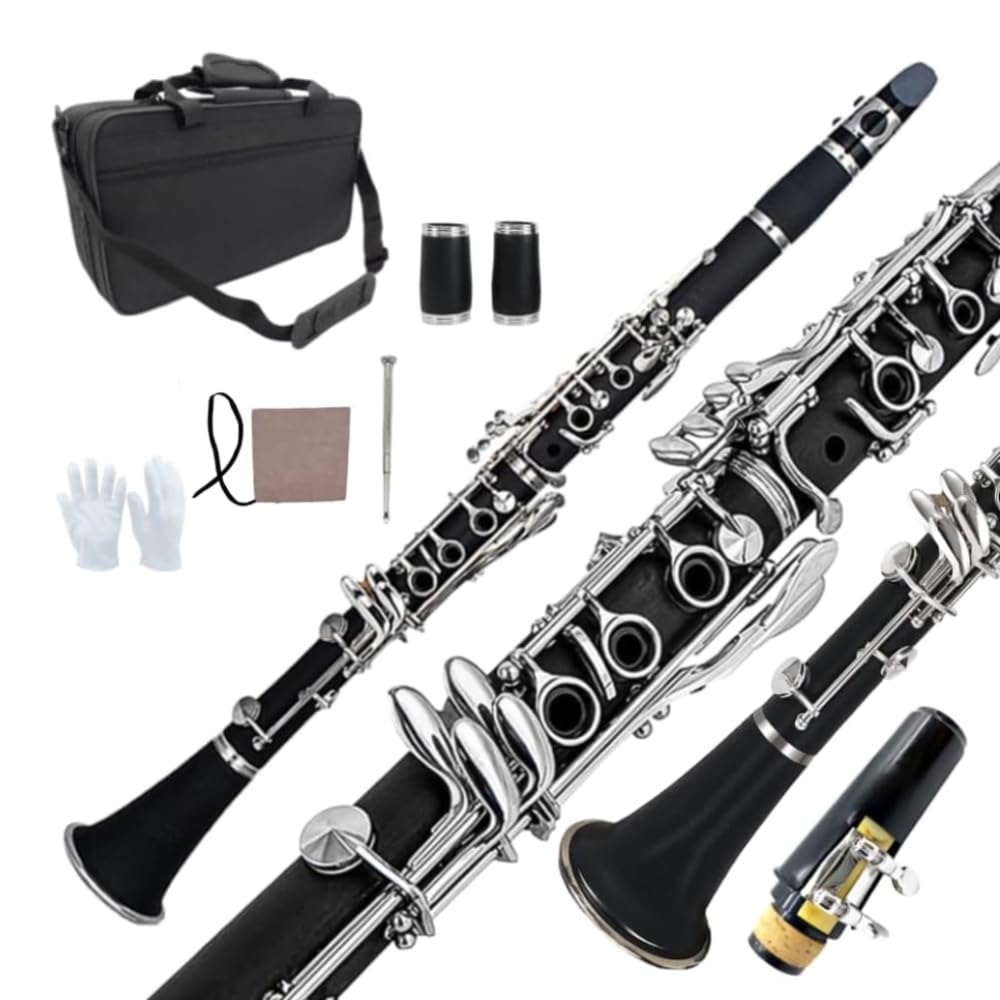 WUQIMUSC Clarinetto professionale corpo palissandro placcato argento chiave B-flat chiavi 17 Bb chiave due barili custodia rigida guanti bianchi