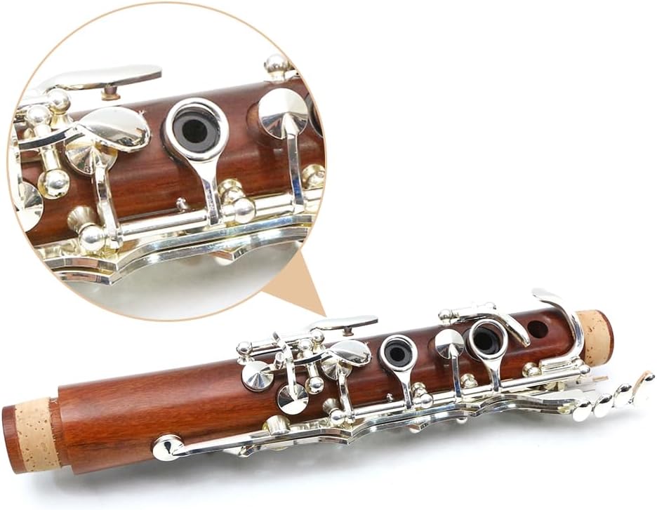 WUQIMUSC Clarinetto professionale corpo palissandro placcato argento chiave B-flat chiavi 17 Bb chiave due barili custodia rigida guanti bianchi