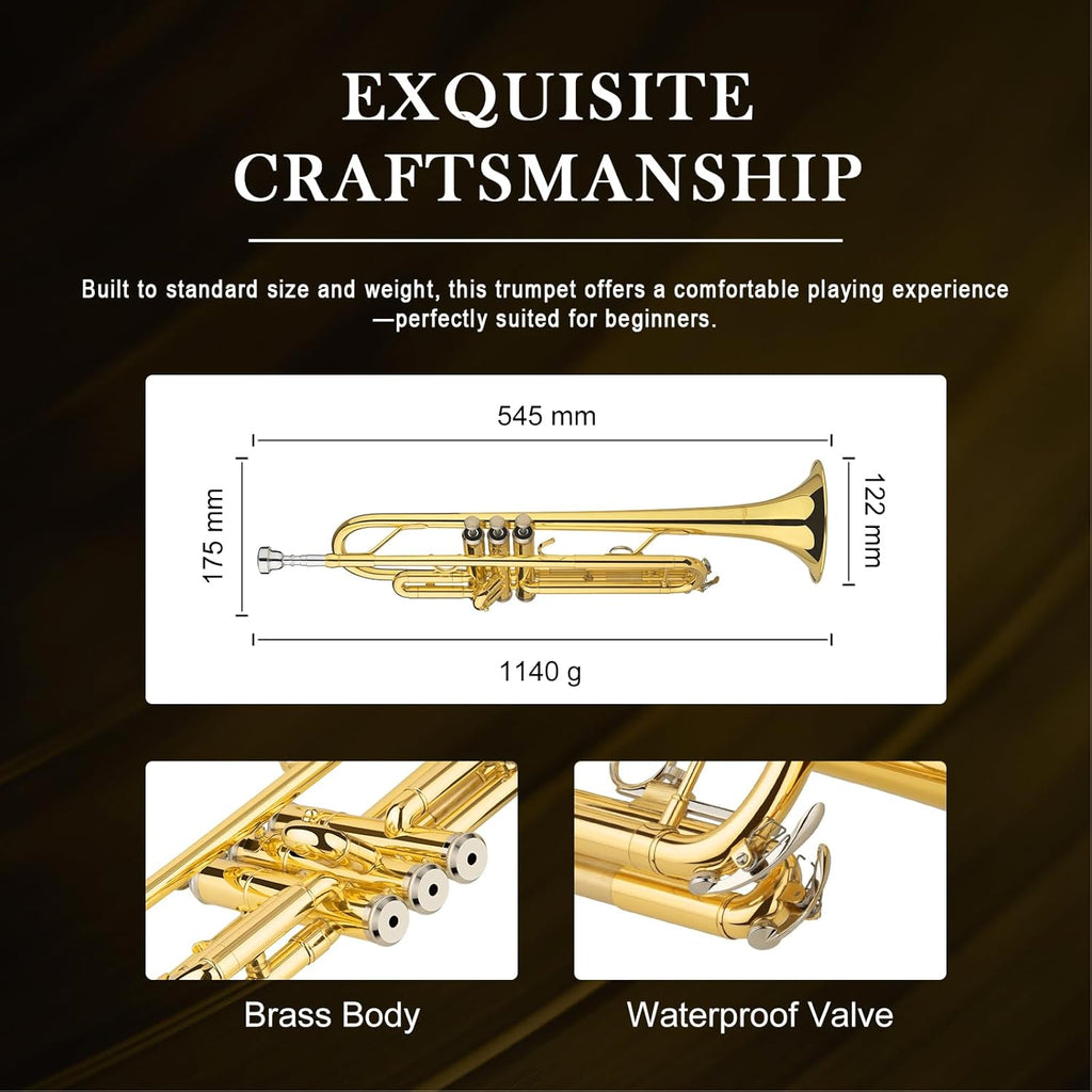SONICAKE Tromba Bb Standard per Principianti, Tromba Studentesca in Ottone Dorato con Custodia Rigida, Bocchino 7C, Kit di Pulizia & Guanti QTP-01
