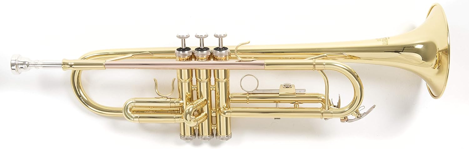 Roy Benson Bb-Trumpet TR-101 (progettato professionalmente con alesaggio ML, con leadpipe in ottone dorato, custodia rettangolare leggera inclusa, con set di zaini)