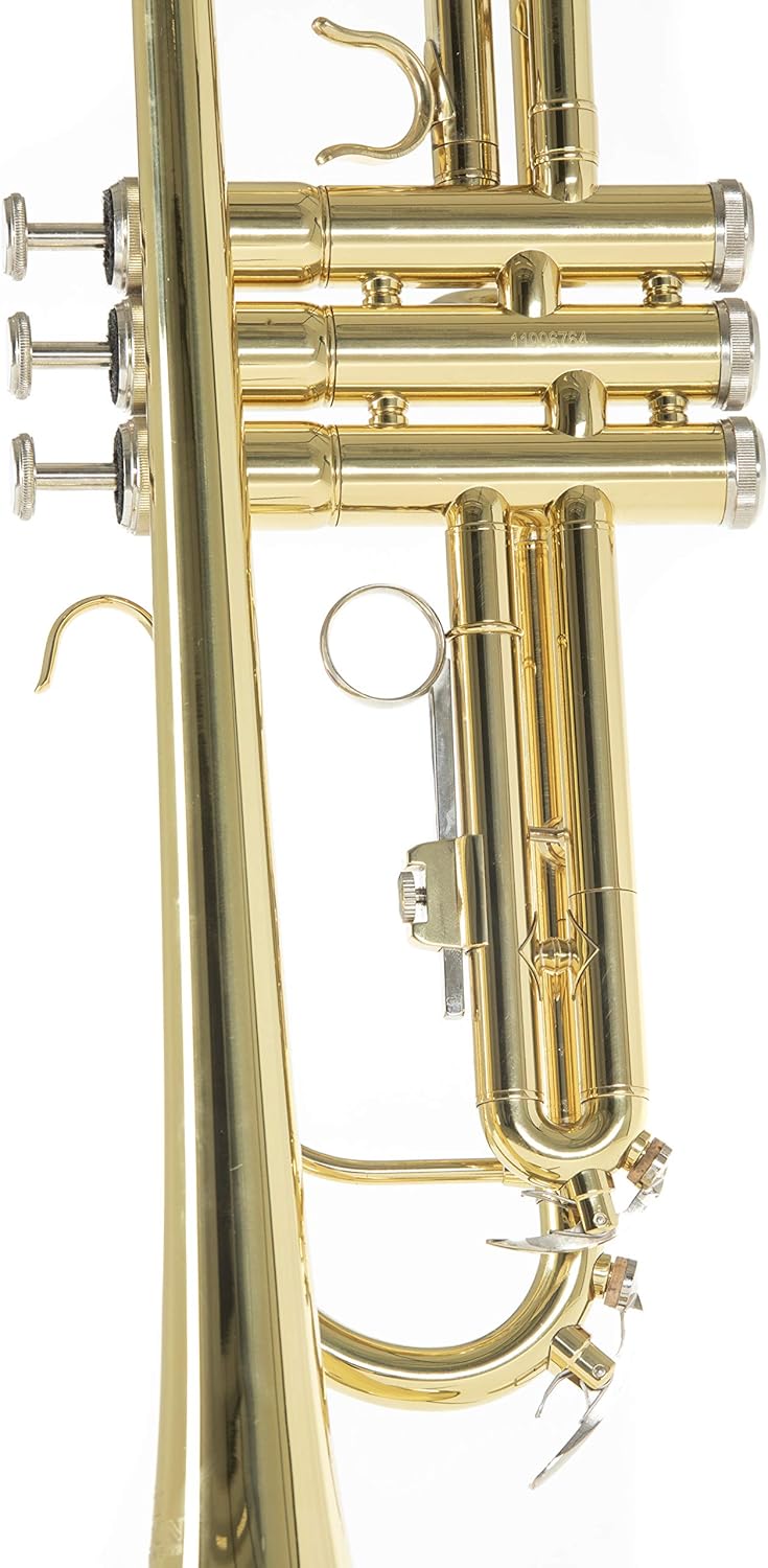 Roy Benson Bb-Trumpet TR-101 (progettato professionalmente con alesaggio ML, con leadpipe in ottone dorato, custodia rettangolare leggera inclusa, con set di zaini)