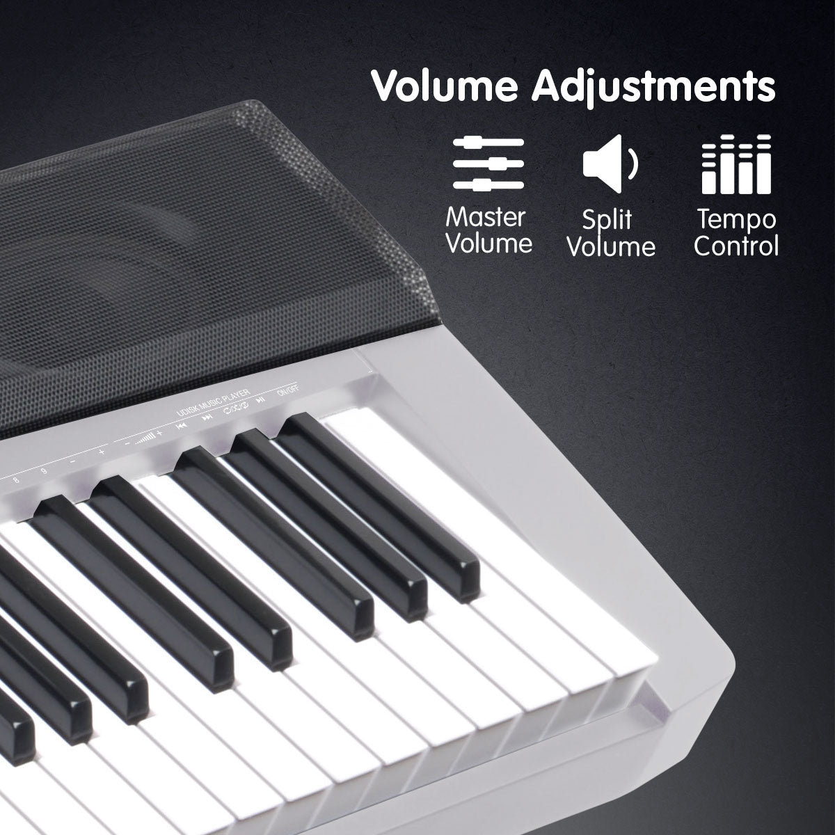 NNEDPE Karrera 88 Keys Electronic Keyboard Piano with Stand Silver